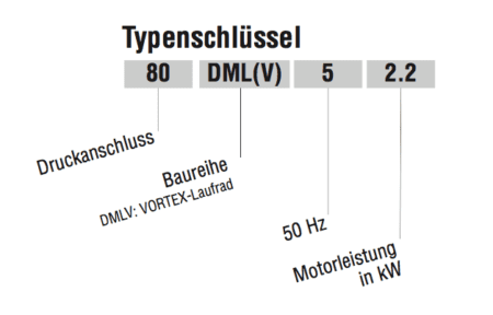 EBARA DML DMLV Typenschlüssel