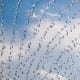 Was kostet ein Brunnen